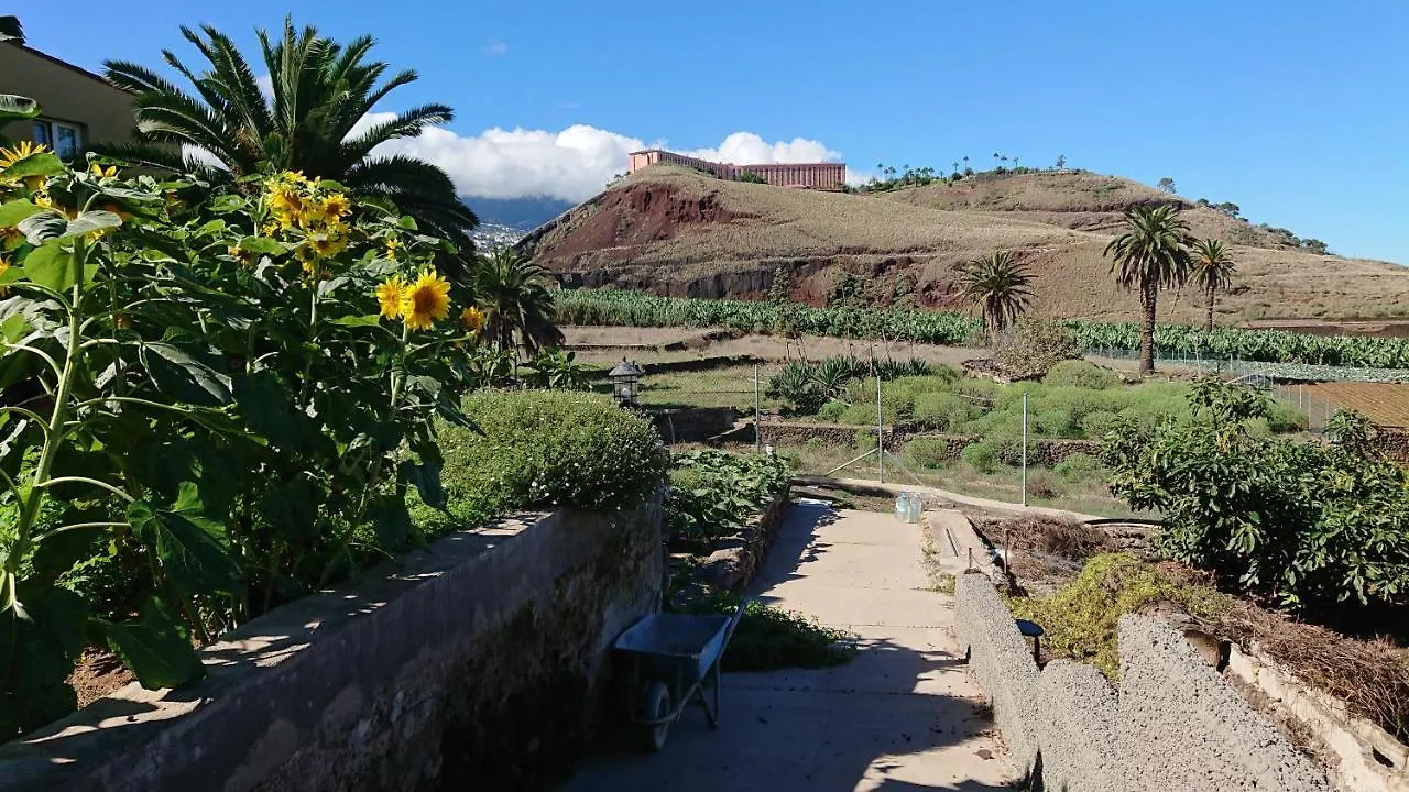 Appartement Cristina Sol H1 à Puerto de la Cruz