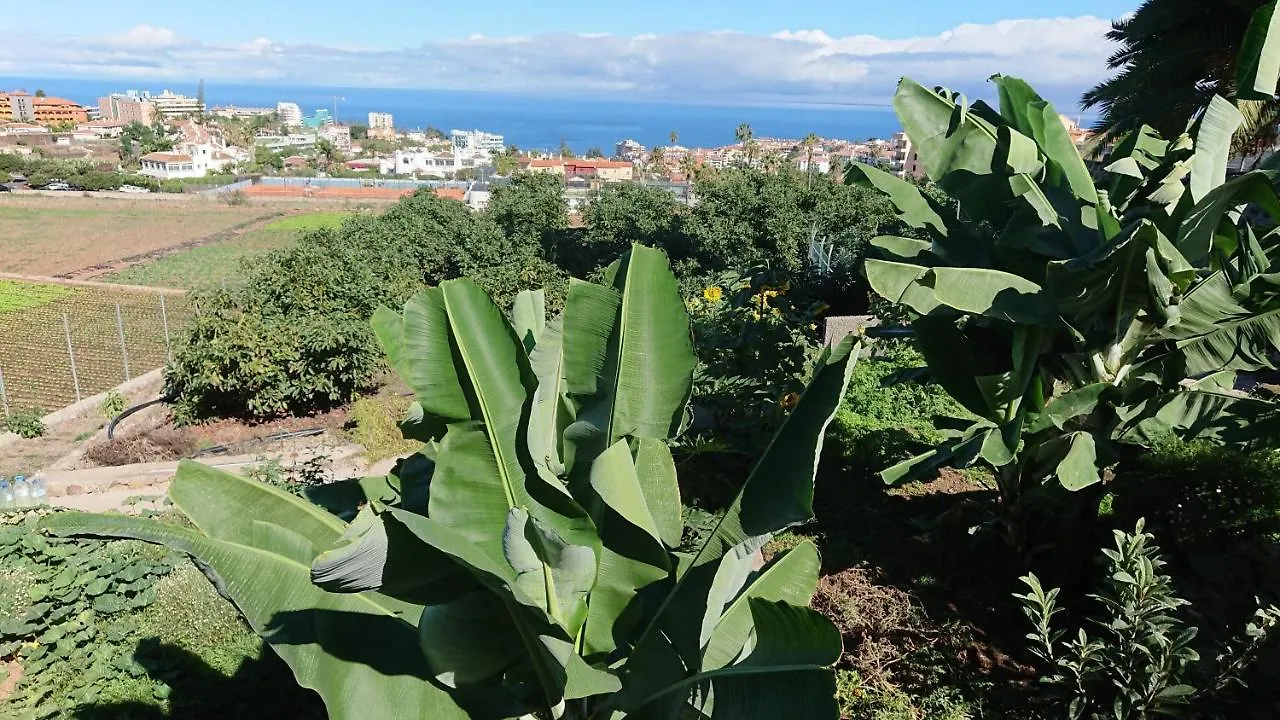 Appartement Cristina Sol H1 à Puerto de la Cruz  Puerto de la Cruz (Tenerife)