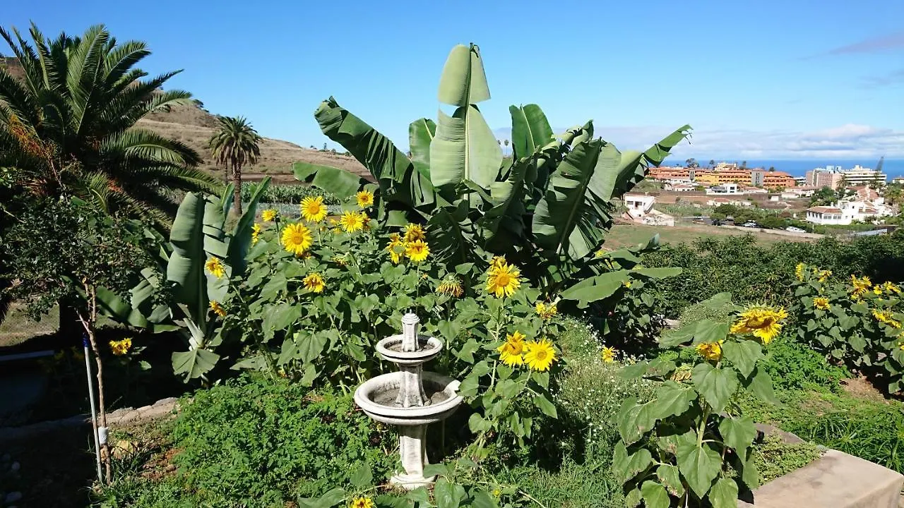 Appartement Cristina Sol H1 à Puerto de la Cruz