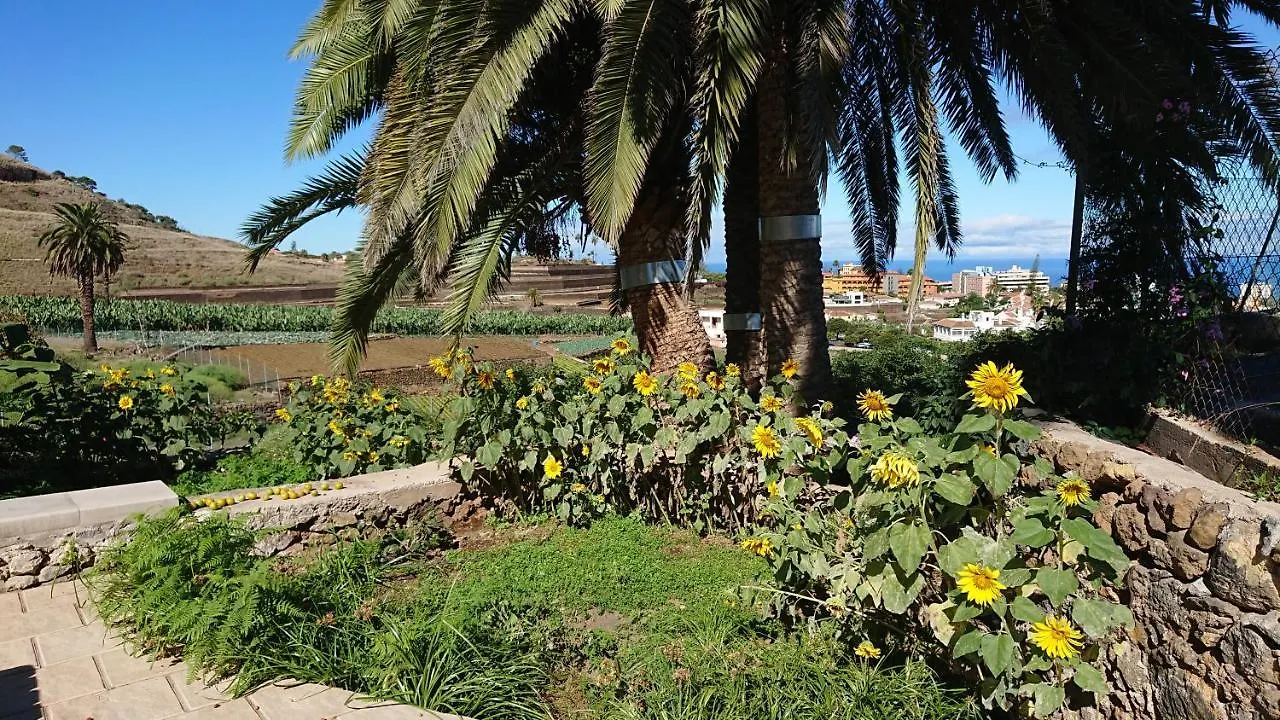 Appartement Cristina Sol H1 à Puerto de la Cruz