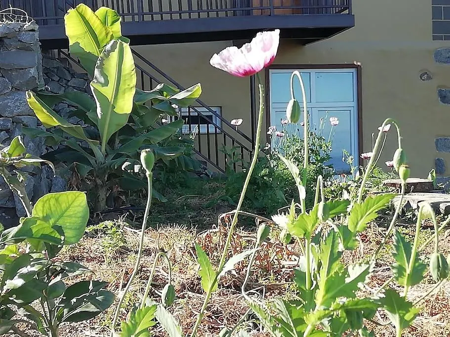 Appartement Cristina Sol H1 à Puerto de la Cruz