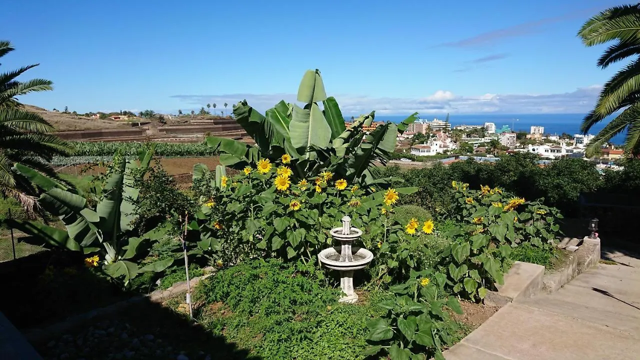Appartement Cristina Sol H1 à Puerto de la Cruz  0*, Puerto de la Cruz (Tenerife) Espagne
