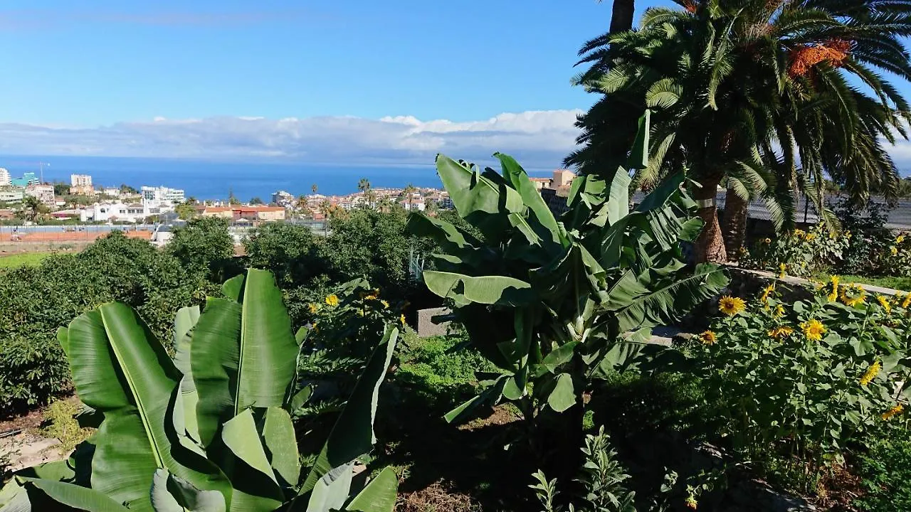 Appartement Cristina Sol H1 à Puerto de la Cruz